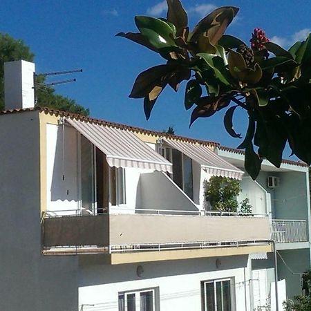 Apartmani Carevic 巴什卡沃达 外观 照片