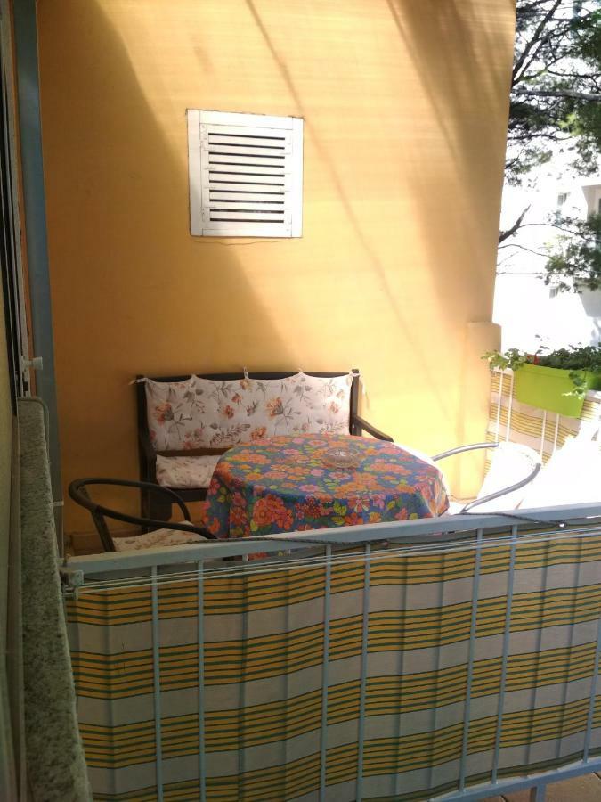 Apartmani Carevic 巴什卡沃达 外观 照片