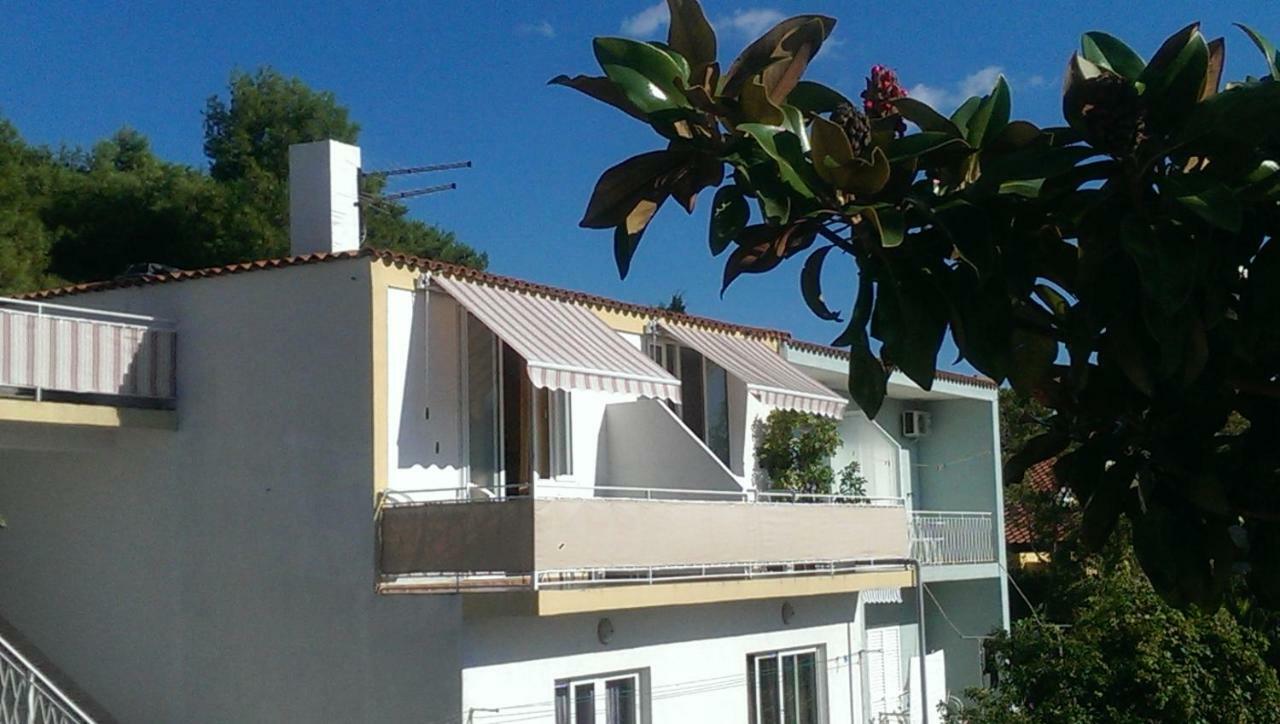 Apartmani Carevic 巴什卡沃达 外观 照片