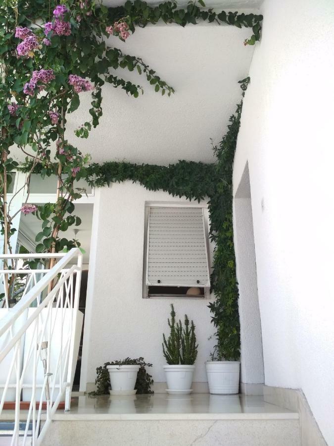 Apartmani Carevic 巴什卡沃达 外观 照片